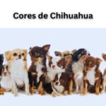 Cores de Chihuahua